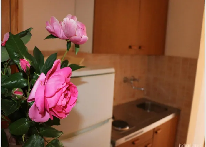 Juras - With Sea View Mia Lejlighed